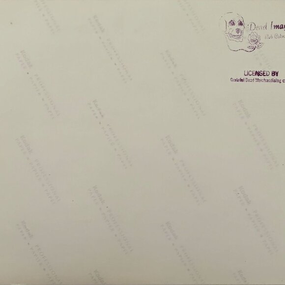 Grateful Dead Licensed Rob Cohn Photograph Of Phil Lesh Playing Bass Guitar - Picture 4 of 14